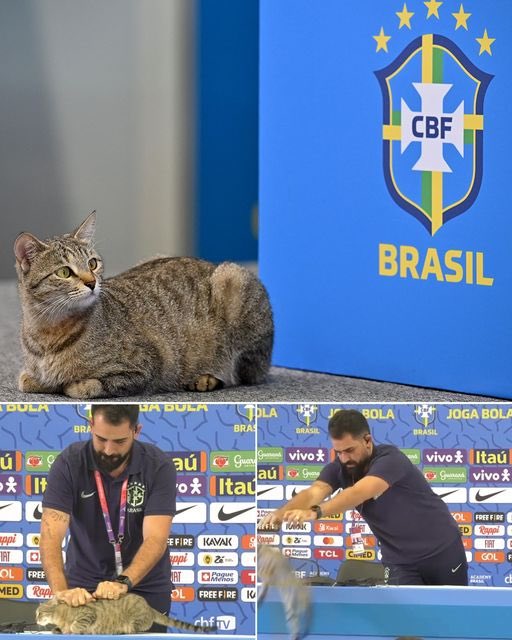 VOS ME BAJASTE DE LA MESA
YO TE BAJO DE LA COPA