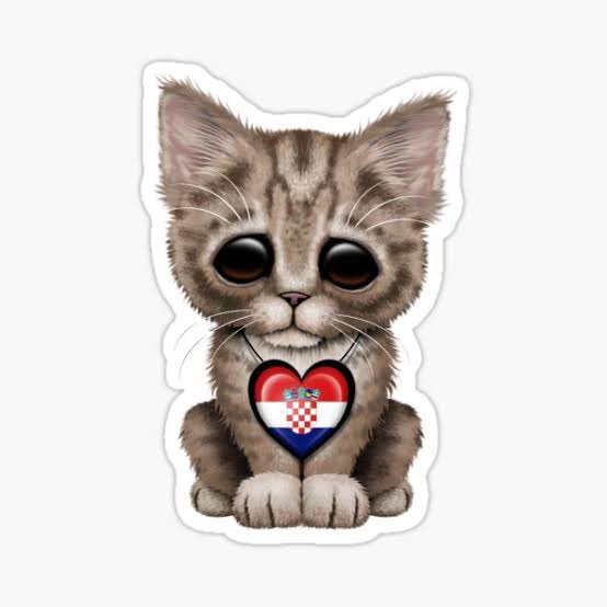derryfadilah's tweet photo. 😿 🙏 : Thank you Kroasia

Brazil #KualatSamaKucing

#KarmaKucing 
#FIFAWorldCup 
#FIFAWorldCupQatar2022 https://t.co/Ll3ITTIi50