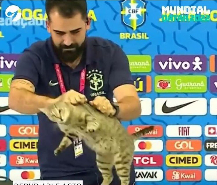 Si Brasil está eliminado, toda la culpa la tiene este wn, no podí hacer algo tan despreciable sin consecuencias #Qatar2022