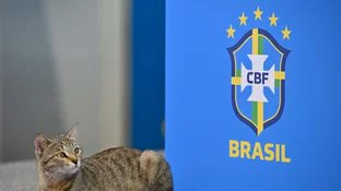Cristiangrunge's tweet photo. Comenzaron los 7 años de mala suerte. https://t.co/pOvVC8b2GV