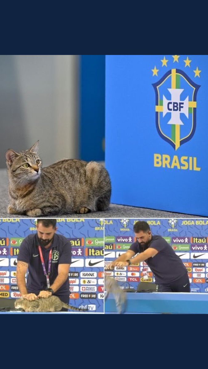 La maldición del gato