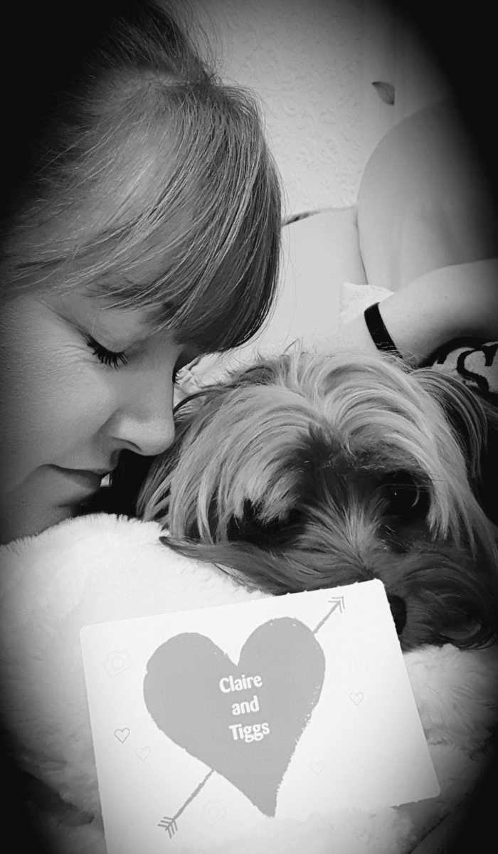 ClaireerialC18's tweet image. 9th of December. Happy Birthday to the best friend in the world 💕 Love you so much ❤️ 🐶🐾🐾 #9thDecember #HappyBirthday #DogsofTwittter #BestFriend #dogsarefamily #dogsarelove #dogareangels 🐾🐾