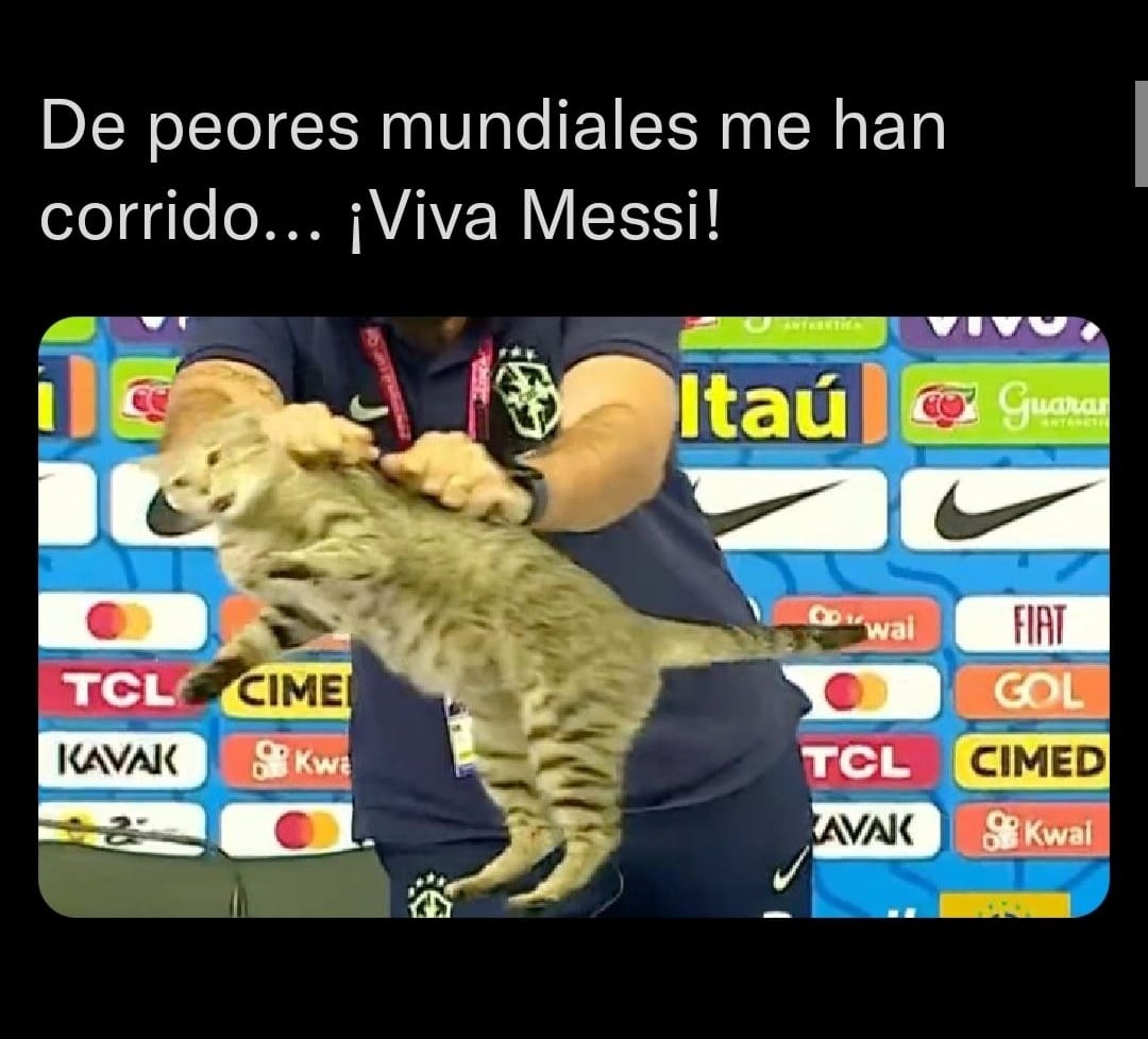 grandulcera's tweet photo. La venganza tiene cara de michi... Adiós #Brasil. https://t.co/3ICr5TtsyL