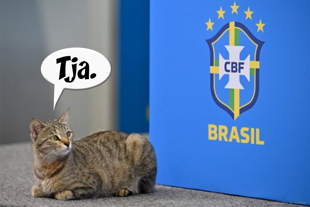 TruMan0815's tweet photo. Man sieht sich immer zweimal im Leben. Grüße von Mr. Cat. 🐈 😂☝️
You always meet twice. Greetings from Mr. Cat. 🐈😂☝️
#BRAZKO #CROBRA #CroatiaVsBrazil #Croatia #Kroatien #FIFA #FIFAWorldCupQatar2022 #FIFAWorldCup https://t.co/Va4J51htqy