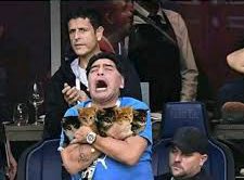 Carolo (@carolovazquez) on Twitter photo 