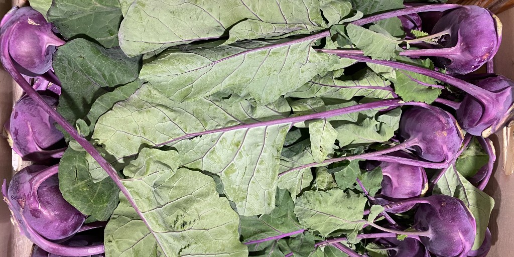 rushtonsgrocer's tweet photo. Purple Kohlrabi is striking in appearance and the perfect combination of crunchy and sweet!
#Rushtons #Rushtonsthechefsgreengrocer #wholesale #catering #hospitality #restaurant #chef #londonsupplier #seasonalproduce #NCGM #purplekohlrabi #italianproduce https://t.co/R5tXWtDXtj