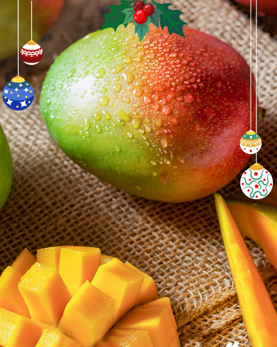 Casafrescave's tweet image. Espectacular y delicioso, así es el #mango de Venezuela.

Se acerca la temporada de cosecha en febrero del 2023, nos preparamos para recibirla y enviar a nuestros clientes.

#exportacionvenezuela #haden #kent #keitt #fruits #frutas #fruitlover #smallbusiness