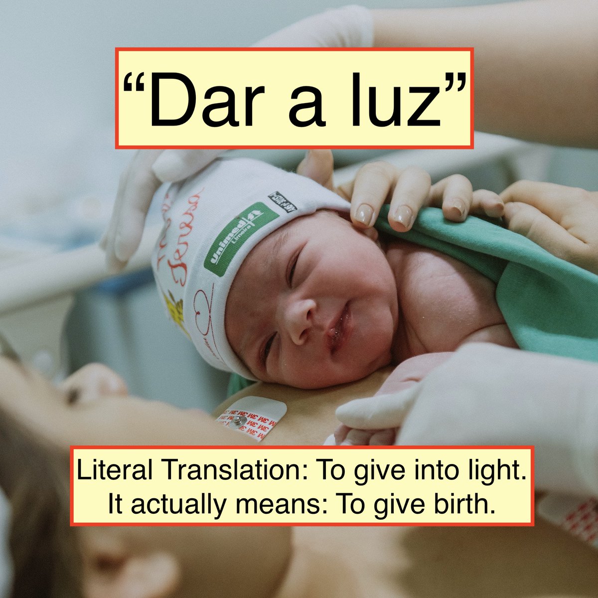 Verónica Moscoso tweet media