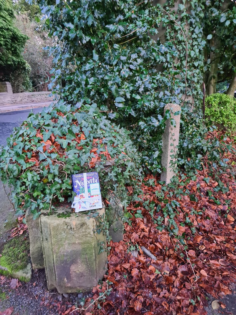 A #bookfairy has been hiding copies of #operationnativity in Dronfield today! Were you lucky enough to find one? 
@J_C_Pearson @KatieKearArt @the_bookfairies @usborne
#ibelieveinbookfairies #TBFUsborne #TBFNativity #jennypearson  #bookfairy #Christmasbooks #booktwitter