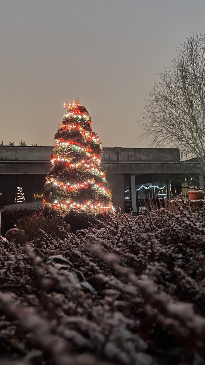 Thanks to the fuair and the sneachta, everything feels a little more Christmassy here today… the tree probably helps too…! #advent #ChristmasTree #kairoscomms