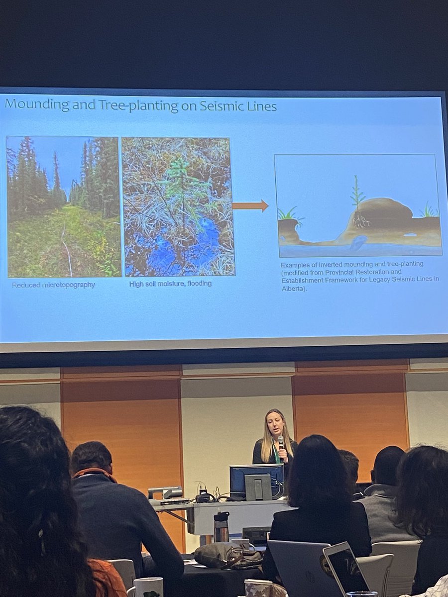 Courtney Miller (@peatperformance) on Twitter photo Promote return to forest cover rapid talks! Ready, set, go! #BERAworkshop2022
<a href="/UA_ACELab/">UAlberta ACE Lab</a> <a href="/BeraProject/">BERA_Project</a> <a href="/wetland_GHG/">Dr Maria Strack</a> Promote return to forest cover rapid talks! Ready, set, go! #BERAworkshop2022
<a href="/UA_ACELab/">UAlberta ACE Lab</a> <a href="/BeraProject/">BERA_Project</a> <a href="/wetland_GHG/">Dr Maria Strack</a>