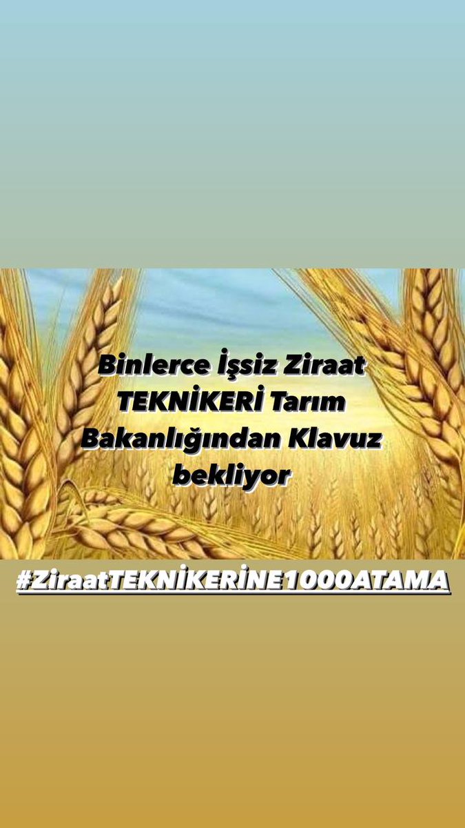 FerideKuzu's tweet photo. @AyhanBarut01 @VahitKirisci https://t.co/fMLDZQepPw