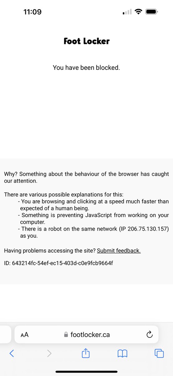 Dianne Wulf🐺 tweet media