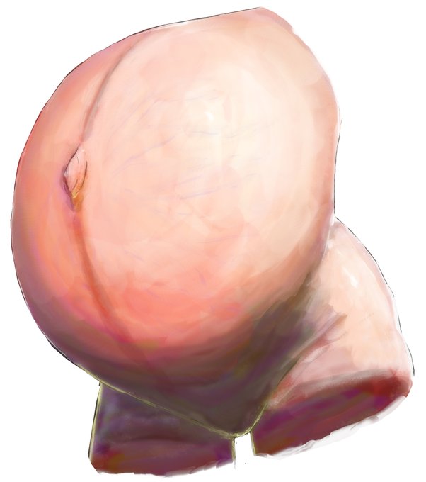 FGOの配信後に各所で耳にしたクリッピングやレイヤーマスク…?と今日に調べて、こんな便利機能をずっと知らなかったのかと…愚かさを呪いました。下はそれ踏まえて練習のボテ腹。拙いですが以前より、反射光や細部を遠慮なく塗れるようになりました※The English translation is in the reply. 