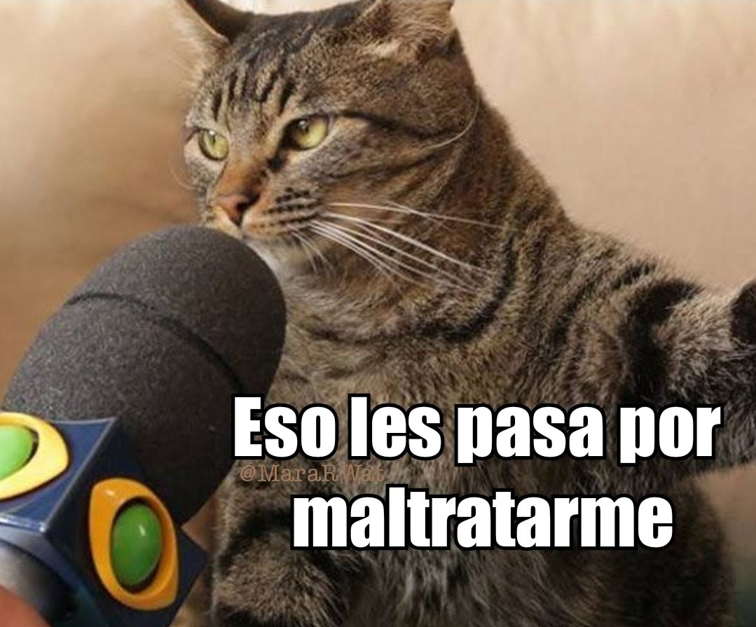 La maldición del michi...🫣
Adiós Brasil