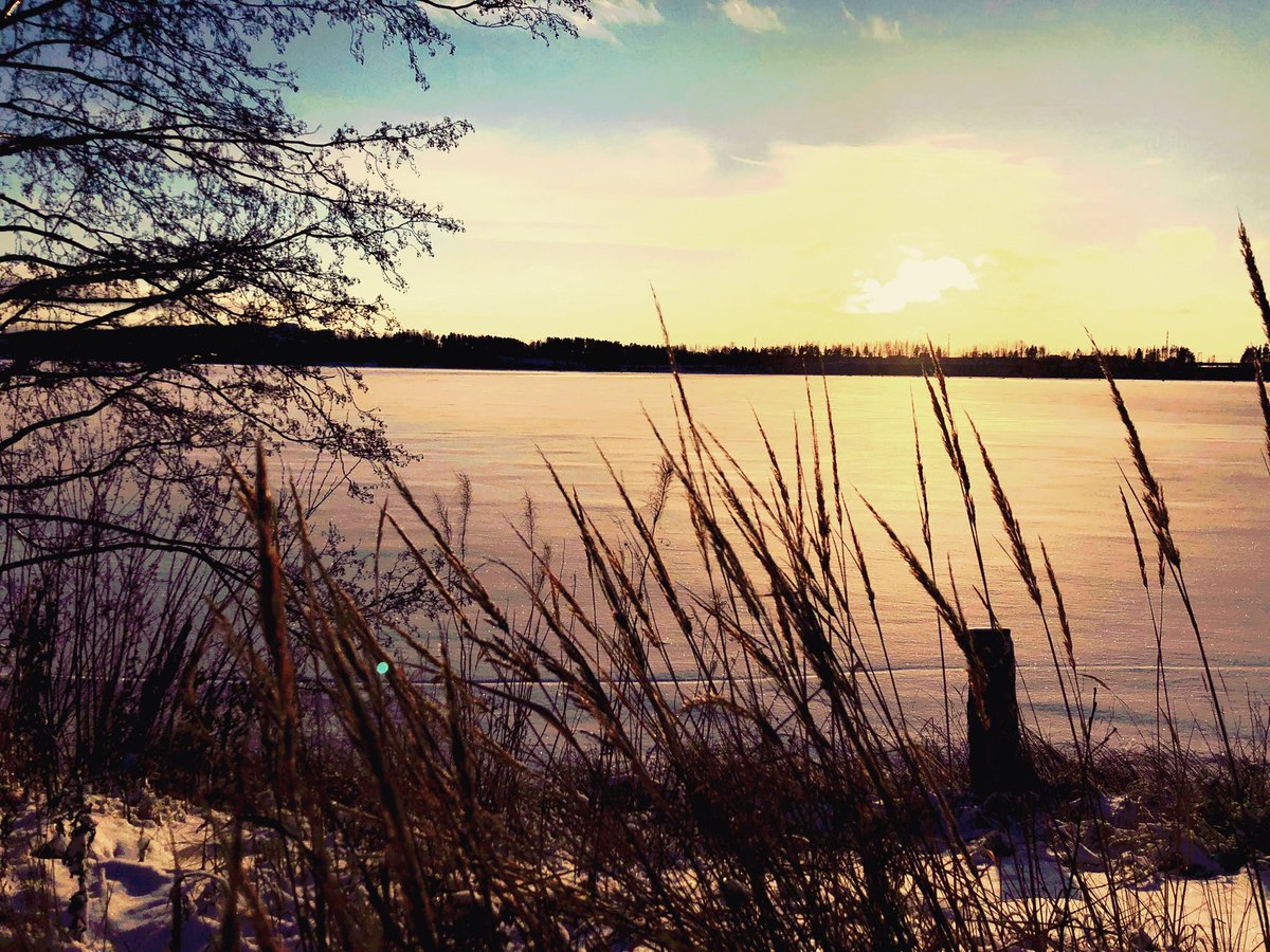 Elämässä on vain kaksi päivää jolloin mitään ei voi tehdä. Ne ovat eilen ja huomenna. Joten tänään on oikea päivä rakastaa, uskoa, tehdä ja elää! - Dalai Lama
