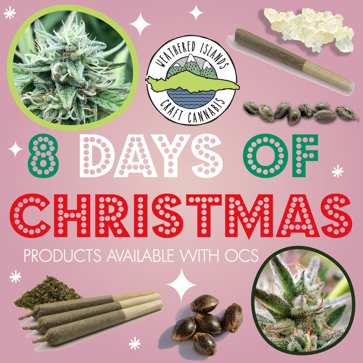 WeatherdIslands's tweet photo. We are so excited to be sharing our 8 Days of Christmas with you.
We have some exciting products with the OCS.
Have a look at these #organically #grown in #livingsoil #cannabis #products

Happy Holidays from the Weathered Islands team

#Legendary #Texada #Genetics  #Weed #BCbud https://t.co/9QSwUPoDqy