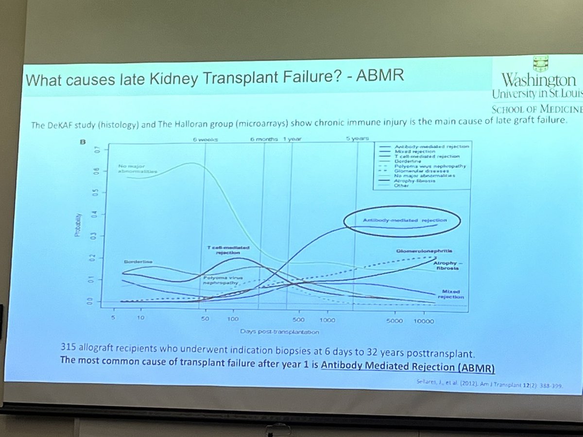 Anitha Vijayan tweet media