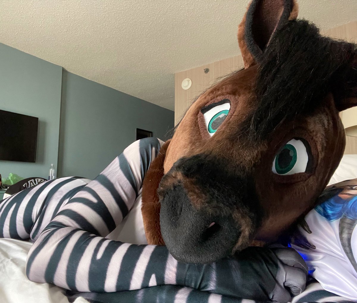 Last Friday at MFF I woke up and chose stripes! I was a party zebra the night before with the hoofers. #MFF2022 #FursuitFriday