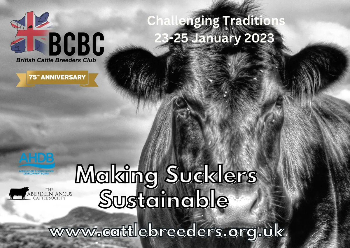 CattleBreeders's tweet photo. #BCBC2023 #beefworkshop with @AHDB_BeefLamb @AberdeenAngusUK &amp; guest farmers @NerbasBrosAngus Angus Nelless, Pete &amp; Richard Burbage &amp; Robert Parker, on how we make suckler herds more sustainable, book online https://t.co/vOdvyaXZ8Z #maternalmatters #teambeef #cattlebreeding https://t.co/DuQMuaJNMe