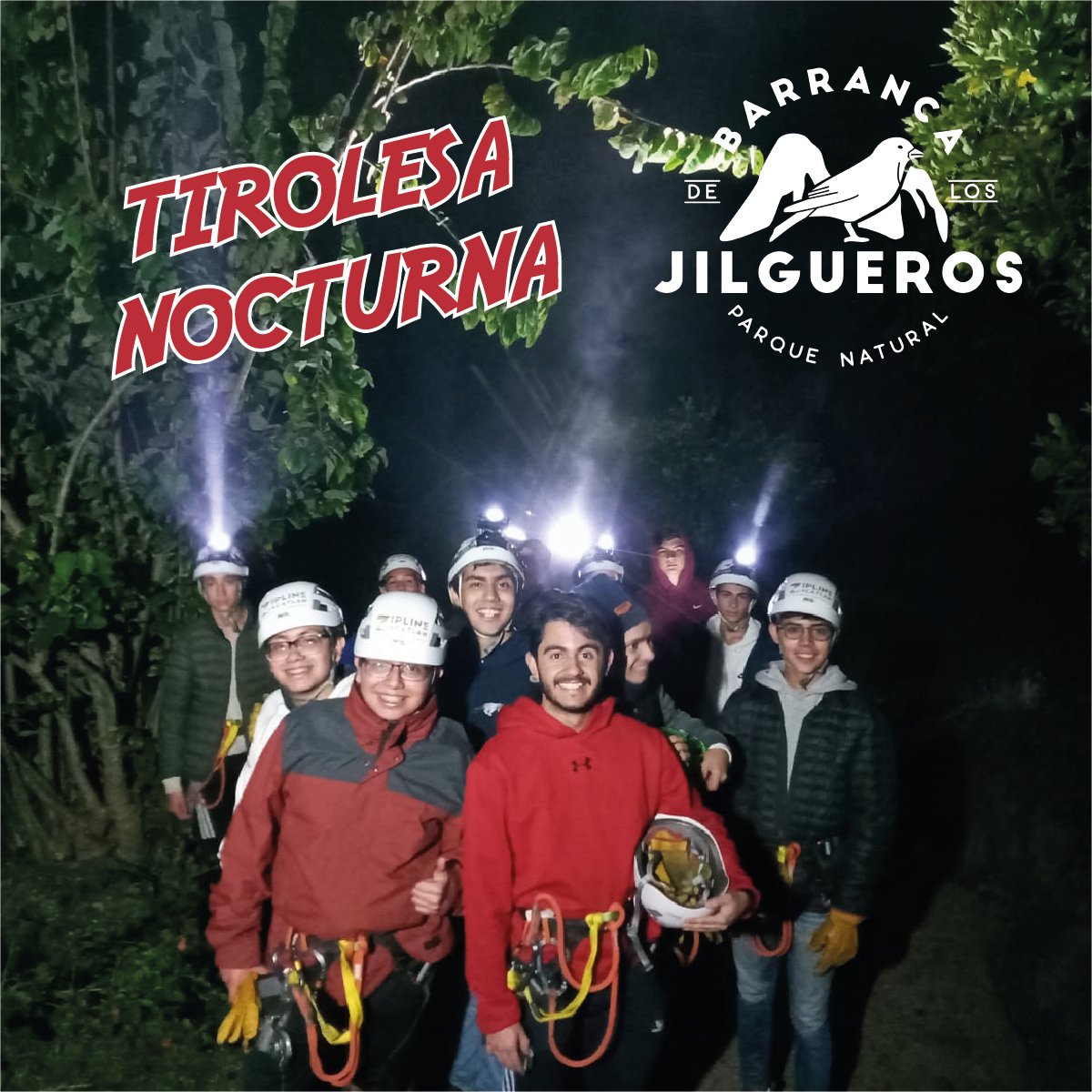 ziplinezac's tweet photo. Atraviesa a toda velocidad y de noche la Barranca de los Jilgueros en Zacatlán.
¿Te atreves?
Informes y reservaciones: 7971473652
https://t.co/1Igx6oxcAi https://t.co/d2IC7Vj7tL