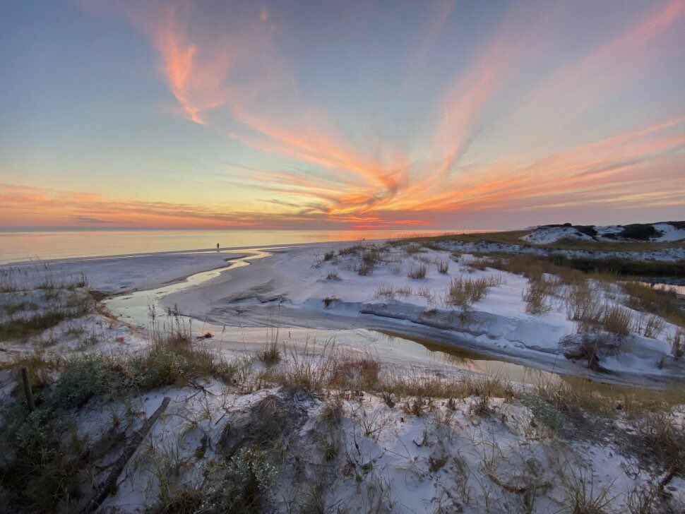 FLStateParksFdn's tweet photo. Time to get on the road and set up camp! https://t.co/AVy5ZvRZGW
At Topsail Hill Preserve State Park
#FloridaStateParks #FloridaStateParksFoundation #ExploreFLParks #TheRealFlorida #UnlockFlorida #ExploreFlorida #FloridaFall https://t.co/imwykFDHPQ