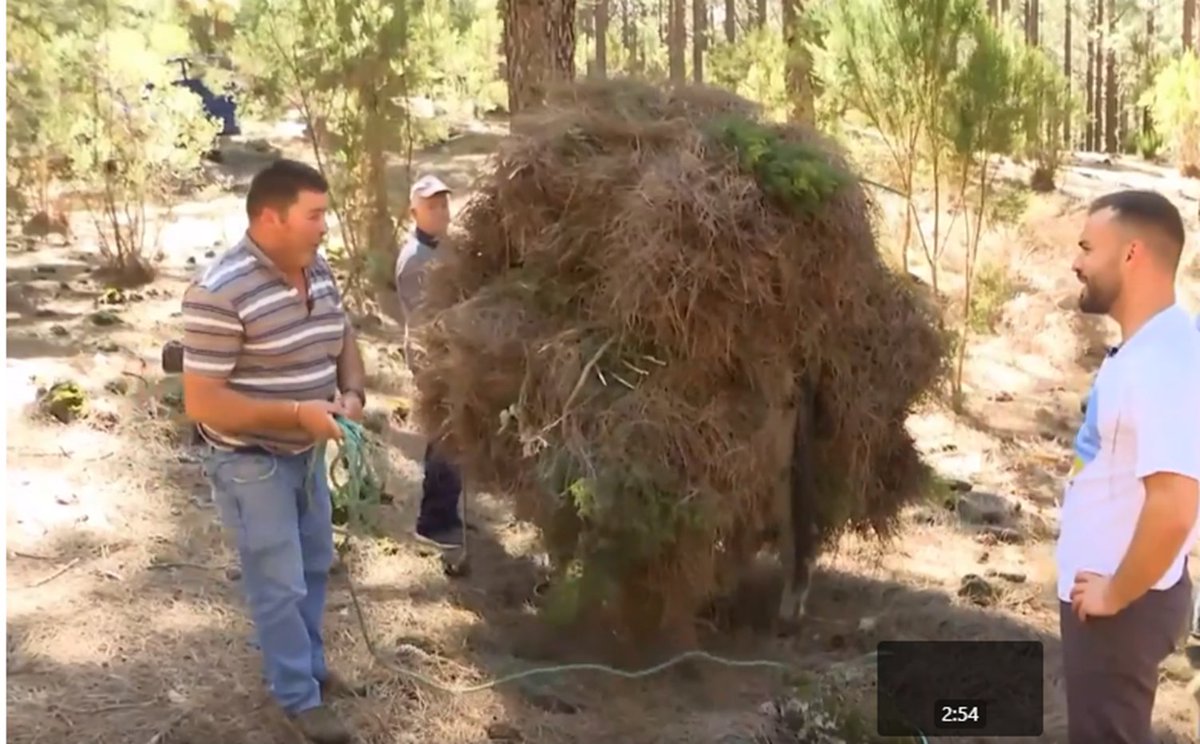 Juan Andrés Oria de Rueda de Salgueiro tweet media