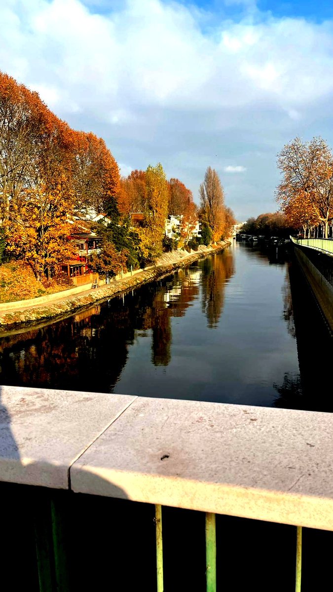 Ch1ch0_07's tweet photo. 🍁🍂
.
.
.
#photography #Photo_Folio #photo #photooftheday #PhotographyIsArt #twitterpost #somewhere https://t.co/TbZJJK6Q5B
