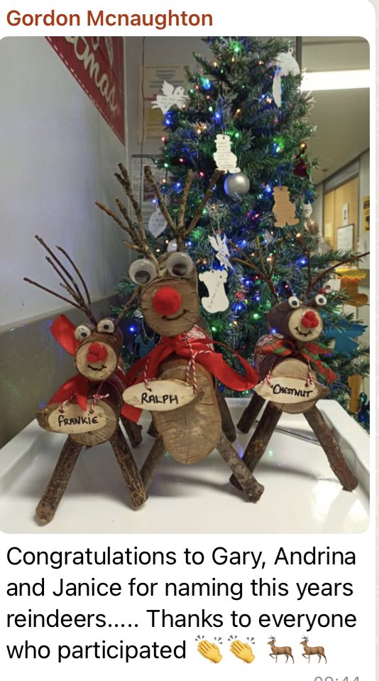 Winners of Dr McNaughton’s reindeer competition 👏👏