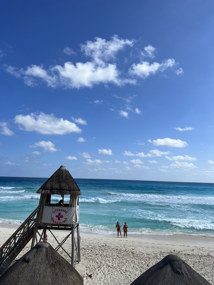 mdiberna's tweet photo. After three days of interesting talks, new project ideas, talks with friends and colleagues, it’s now time to relax #cdc22 @CSSIEEE #Cancun https://t.co/k2VnJ2c9tQ