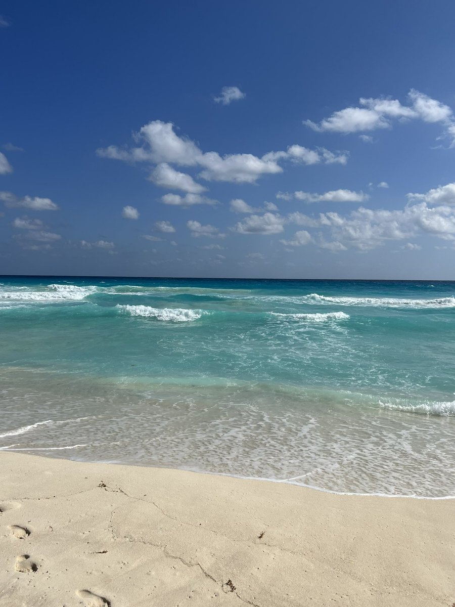 mdiberna's tweet photo. After three days of interesting talks, new project ideas, talks with friends and colleagues, it’s now time to relax #cdc22 @CSSIEEE #Cancun https://t.co/k2VnJ2c9tQ
