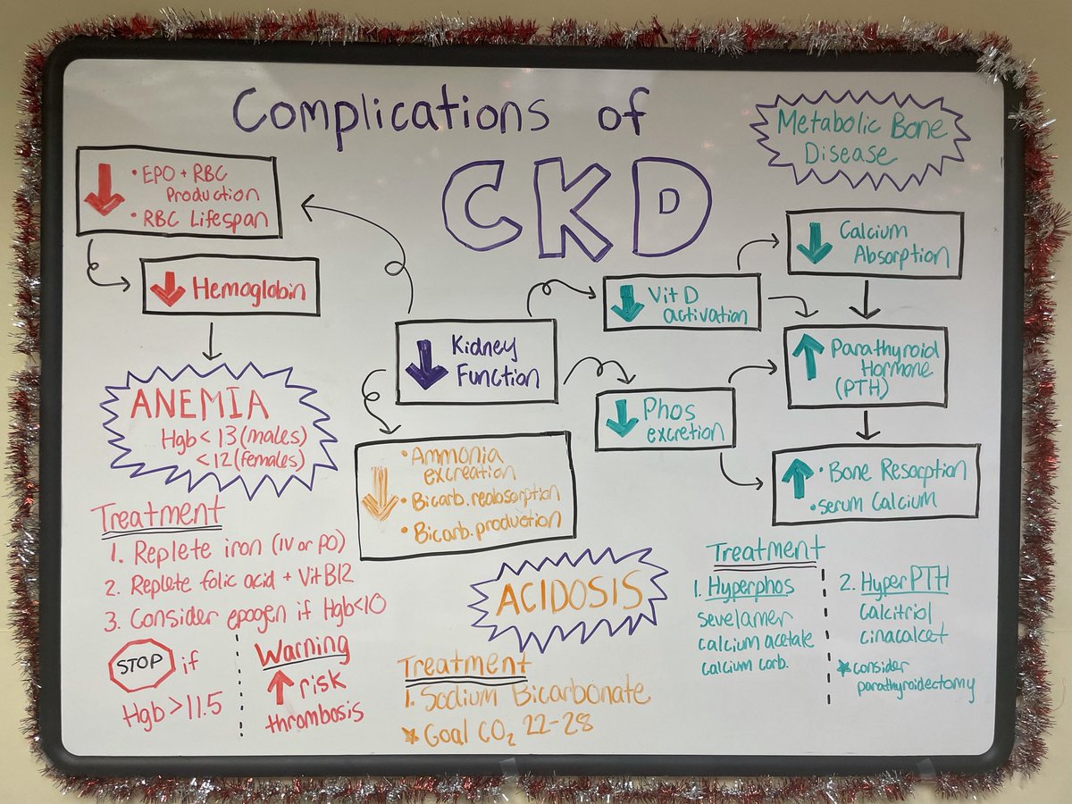 Sarah Bova tweet media