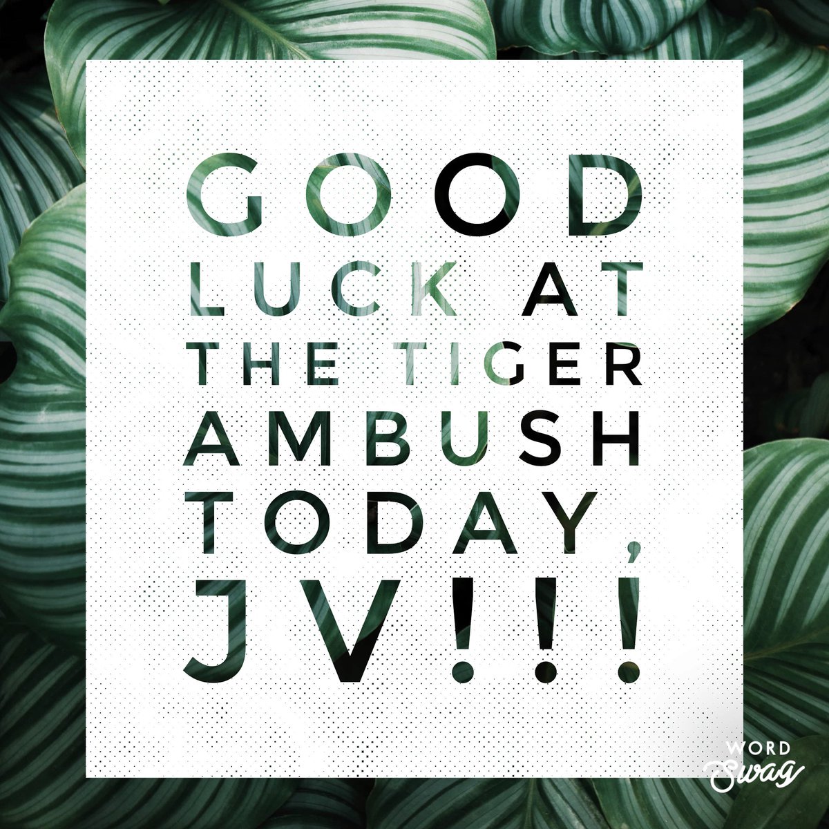 Good luck today, JV!! You got this!!
💚🐺🖤 #CPproud #TwolfTough #CPHSwrestling #LISDwrestling