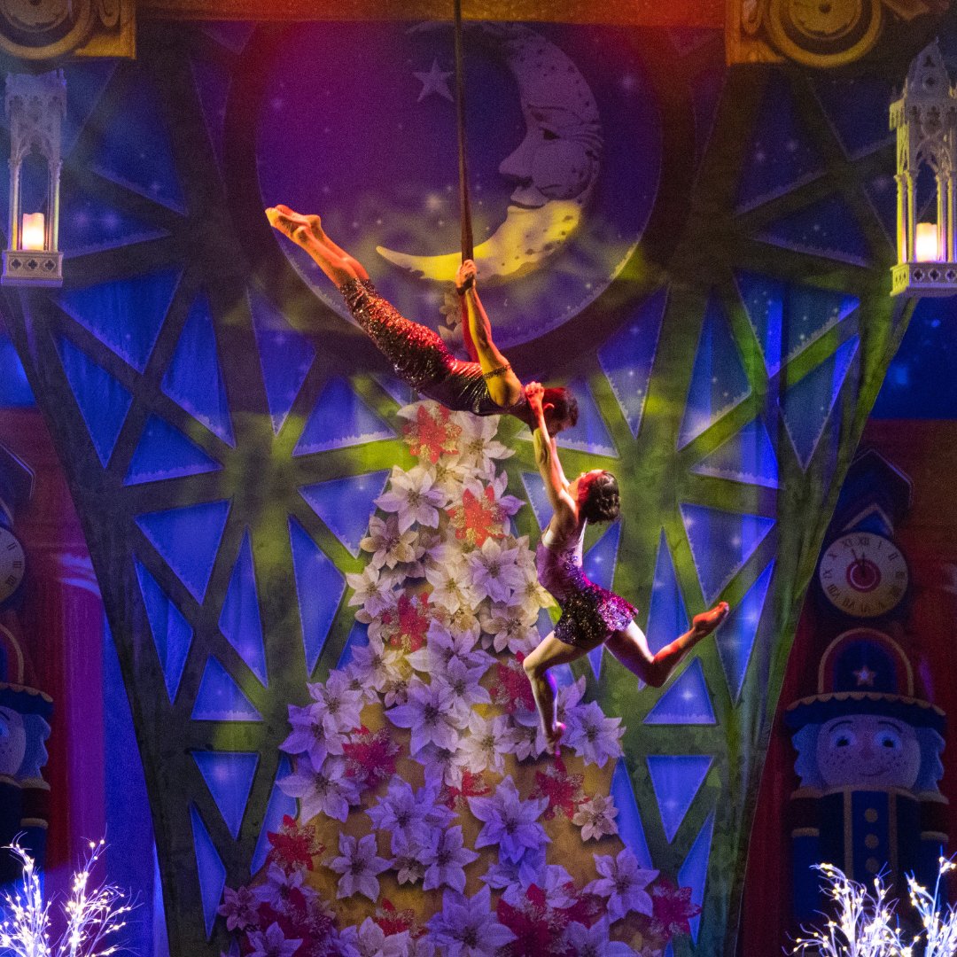 What a stunning photo of Ernesto and Caitlin during their act in #CirqueDreamsHolidaze 😍