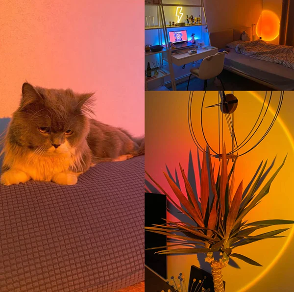 VuinicaHome's tweet photo. Relieve any stress &amp; anxiety with our Elusive Sunset Lamp. Using a spectrum of soft colors this lamp will create a calm aura for any room.
https://t.co/ZTAmLD4EKJ

#sunsetlamp #sunriselight #photohraphylight #luxuryhome #modernhome #sunsimulation #VuinicaHome #nightlight #sunlamp https://t.co/WcKHmsUFAC