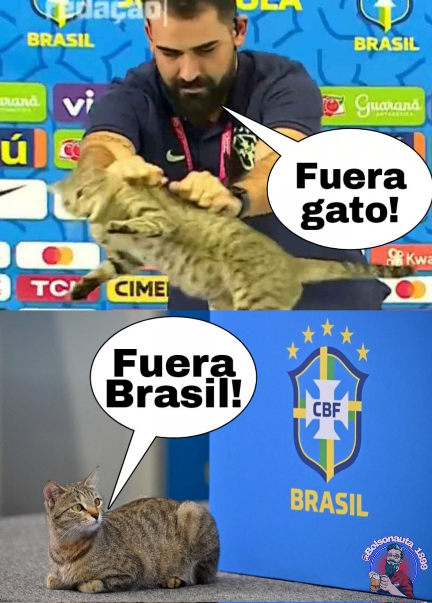 La venganza del gato. Vingança do gato #Qatar2022 #Brazil #brazilvscroatia #QatarWorldCup2022