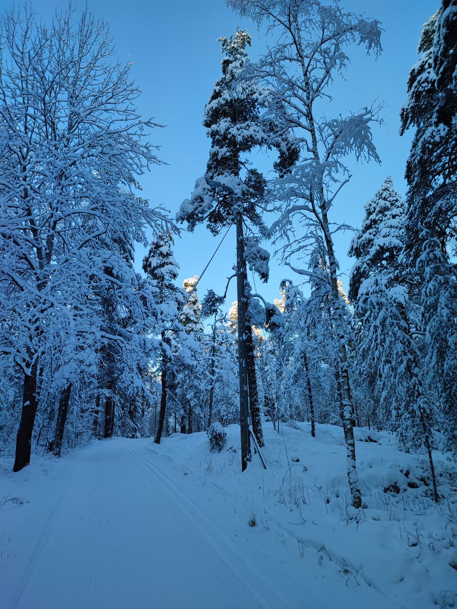 Tuija_M_A's tweet photo. @alexstubb https://t.co/JWVlrNVpfD