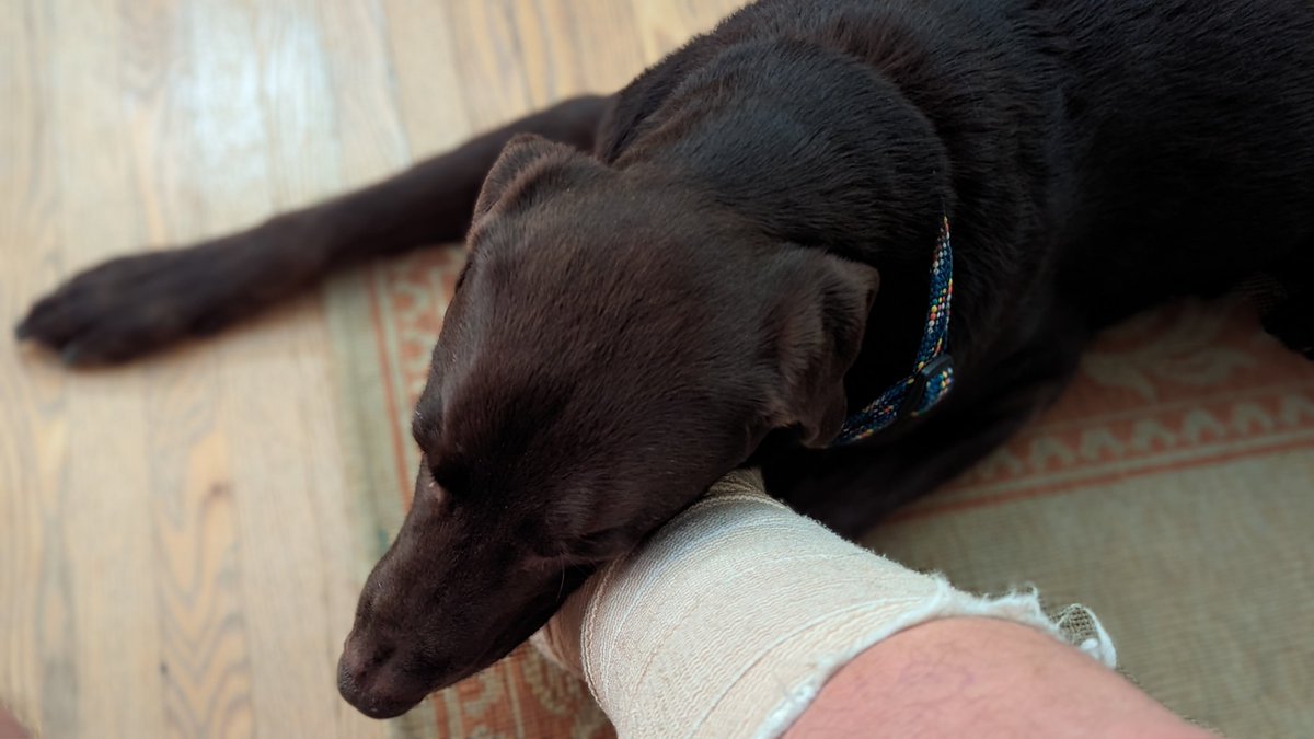 Scott Andrew Collyer tweet media