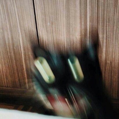 bethuhwhat's tweet photo. puppet history JUMPSCARE!?!?? https://t.co/FyJMO4iOW7