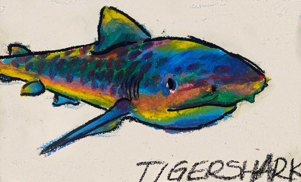 IsabelJoyArt's tweet photo. i did draw more rainbow sharks though please love them theyre such sweet boys #artistsontwitter #oilpastels https://t.co/GgDLeDhL25