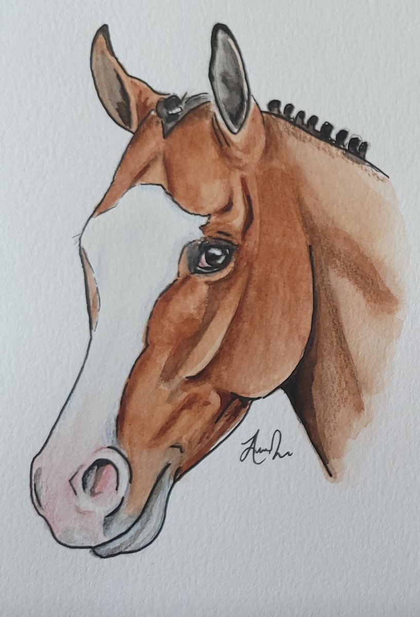mandalay117's tweet photo. Happy retirement to the one and only Snapper Sinclair!! Can't wait to see some big-blazed beautiful babies running around soon ๐ Such a cool horse. #SnapperTime https://t.co/qkQ1TP1HKI