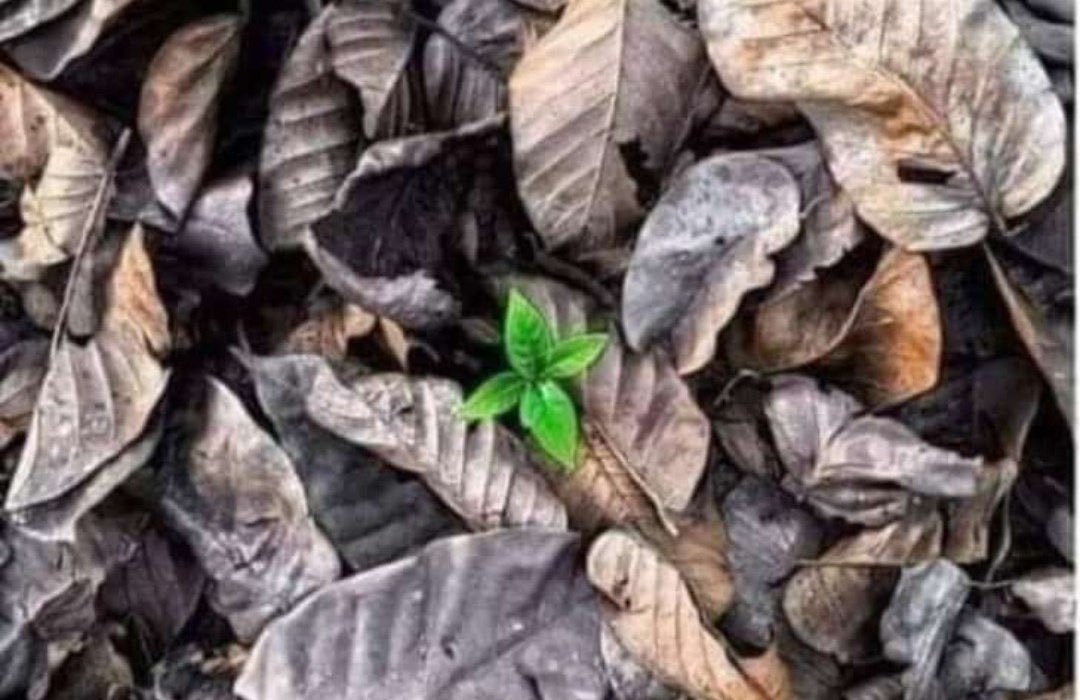 ahmadrana_pk's tweet photo. جب سب کچھ ختم ہو رہا ہو تو ممکن ہے کوئی نئی شروعات لکھی جا چکی ہو….ناممکن اور ممکن ہر جگہ ہوتے ہیں ۔۔۔باقی ہمارا یقین اور انتخاب ہوتا ہے ۔۔۔
#ahmadrana #possible #css2022result #CSS2022 https://t.co/qy3qvZEeBw