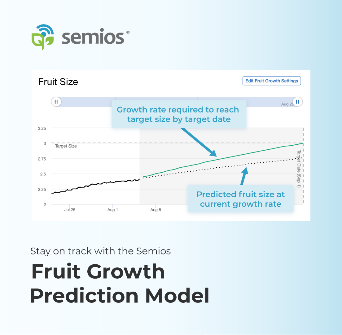 Semios's tweet photo. Take your fruit size monitoring tools to the next level with our Fruit Growth Prediction Model. ๐๐ Based on your inputted target size and date, you can see the predicted growth rate required to reach your target size at harvest.
#fruitsizing #fruitfarming #agtech #precisionag https://t.co/mJUg4A5LP8