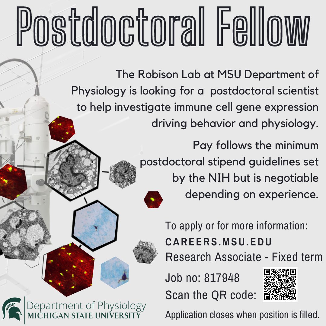 Are you a highly motivated researcher seeking postdoc work? The @RobisonLabMSU has an opening to help study immune cell gene expression driving behavior and physiology! #postdoc #neuroscience #geneexpression #physiology #postdoctoralfellow #NIH #research #msupsl #brainresearch