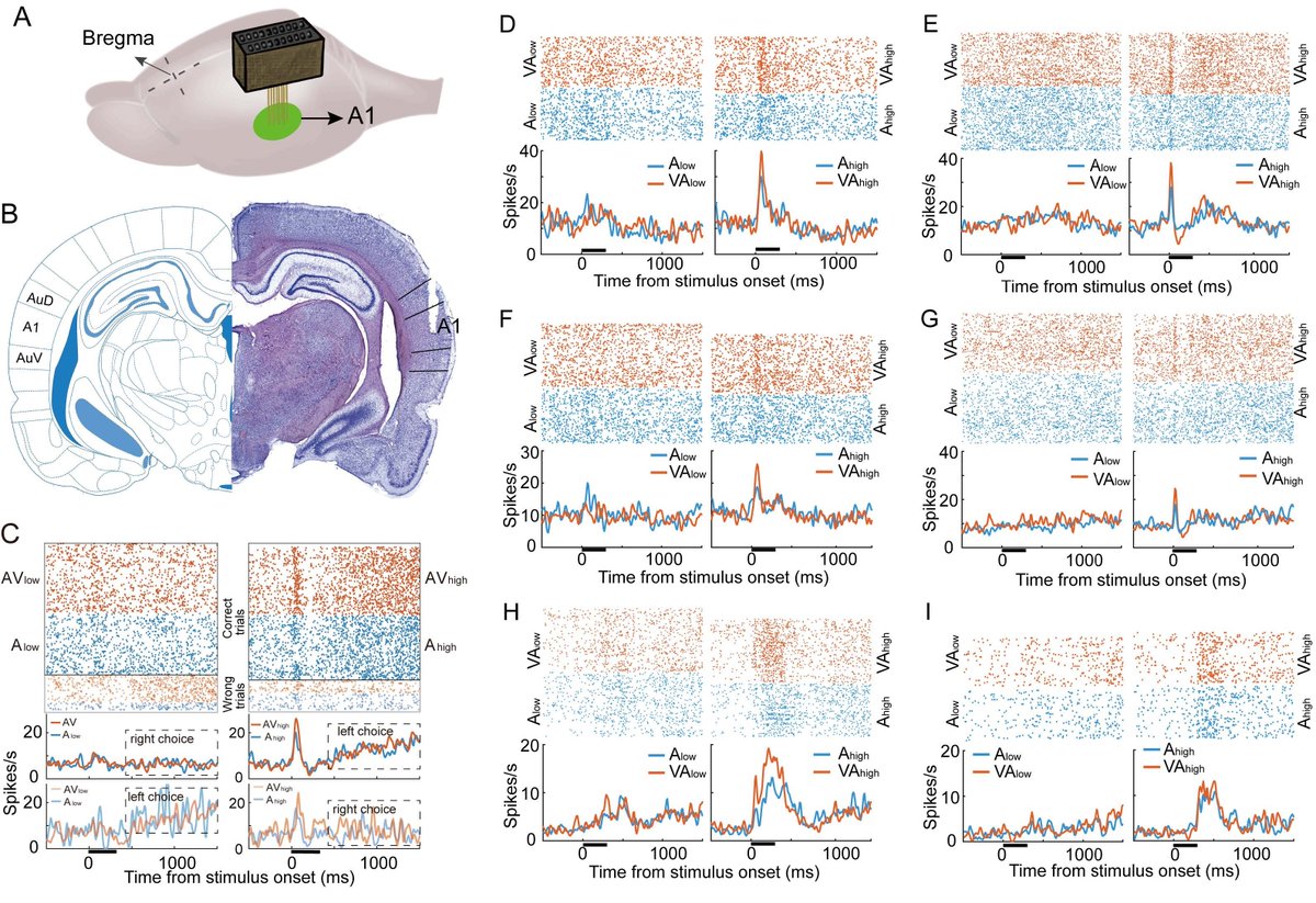 SfN Journals tweet media