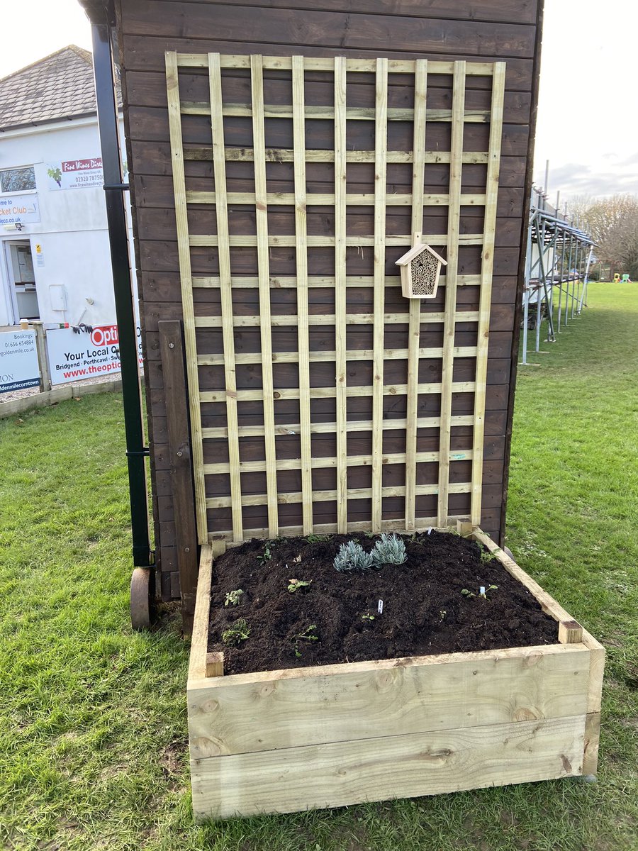 valecricket's tweet photo. Thanks to @Keep_Wales_Tidy for a fantastic wildlife starter pack which, as you can see, we have used to frame our score box. Thanks also to Ceinwen Harris who kindly helped us secure this grant. #clubandcommunity #wildlife @VOGCouncil @CoworkLocal @Cwmpas_Coop @valeccWandG https://t.co/RQaUVq9VTQ