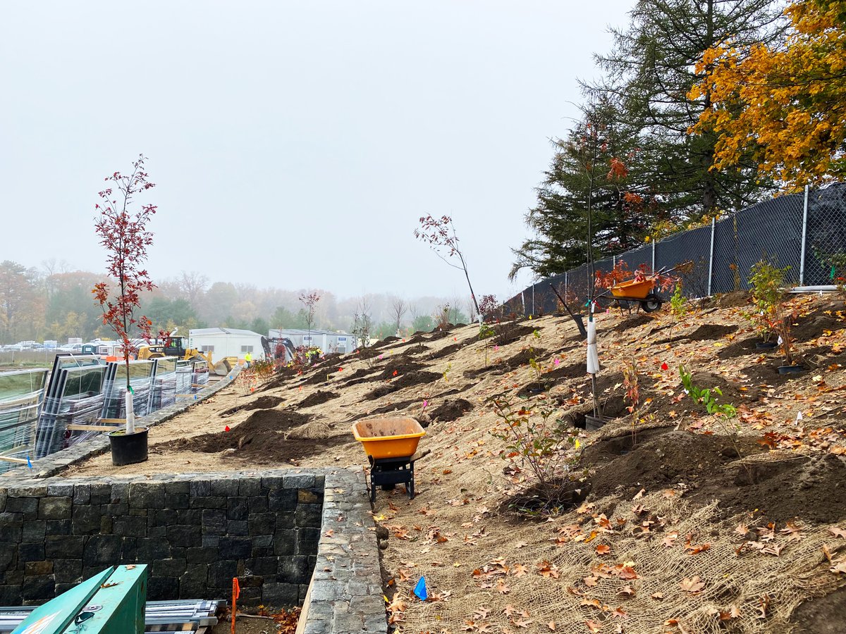 OffshootsINC's tweet photo. A few weeks ago our installation team wrapped up work on a woodland transition restoration project in Ipswich.

The planting mimics the existing Oak-Hickory Forest to create a transition zone that will help restore the woodland edge over time. 

#BostonLandscapeArchitecture https://t.co/k5LYPUbElJ