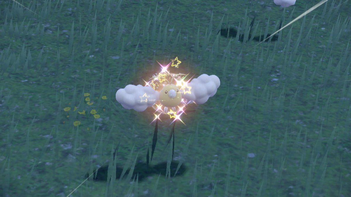 ShrubSparrow tweet media