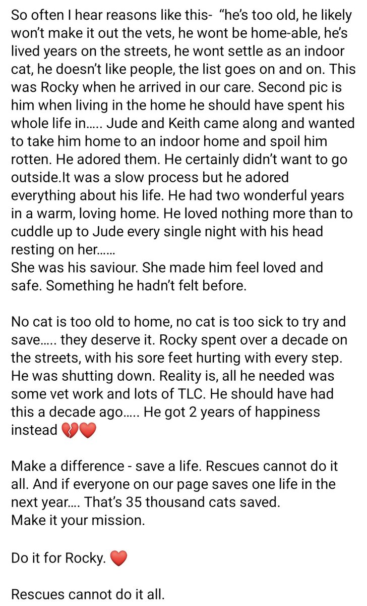 Rocky ❤️

Please read the pic 🥰🥰