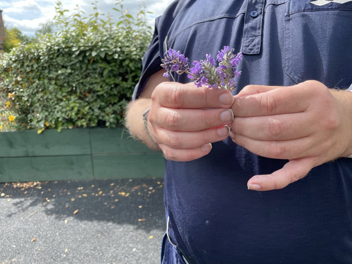 Flashback to summer in the garden at <a href="/ward_rutland/">Rutland Ward</a> 🌼 Pts really enjoyed venturing out into the sunshine and picking flowers 🌺 @LPTReablement <a href="/LPT_Activities/">LPT Meaningful Activities</a> <a href="/SkinnerCarla/">carla yaxley</a> 🪴